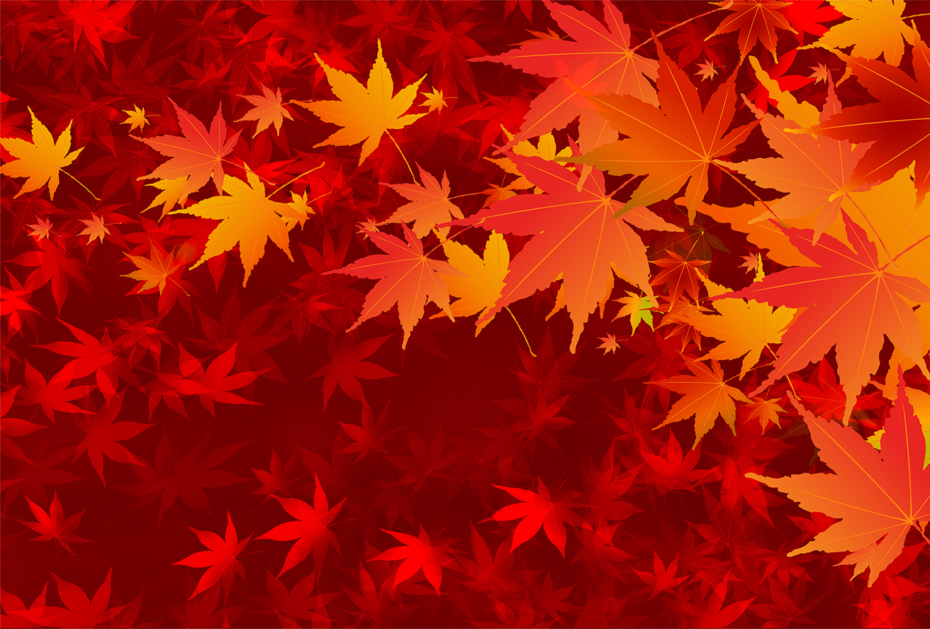 ひとりよりもふたり