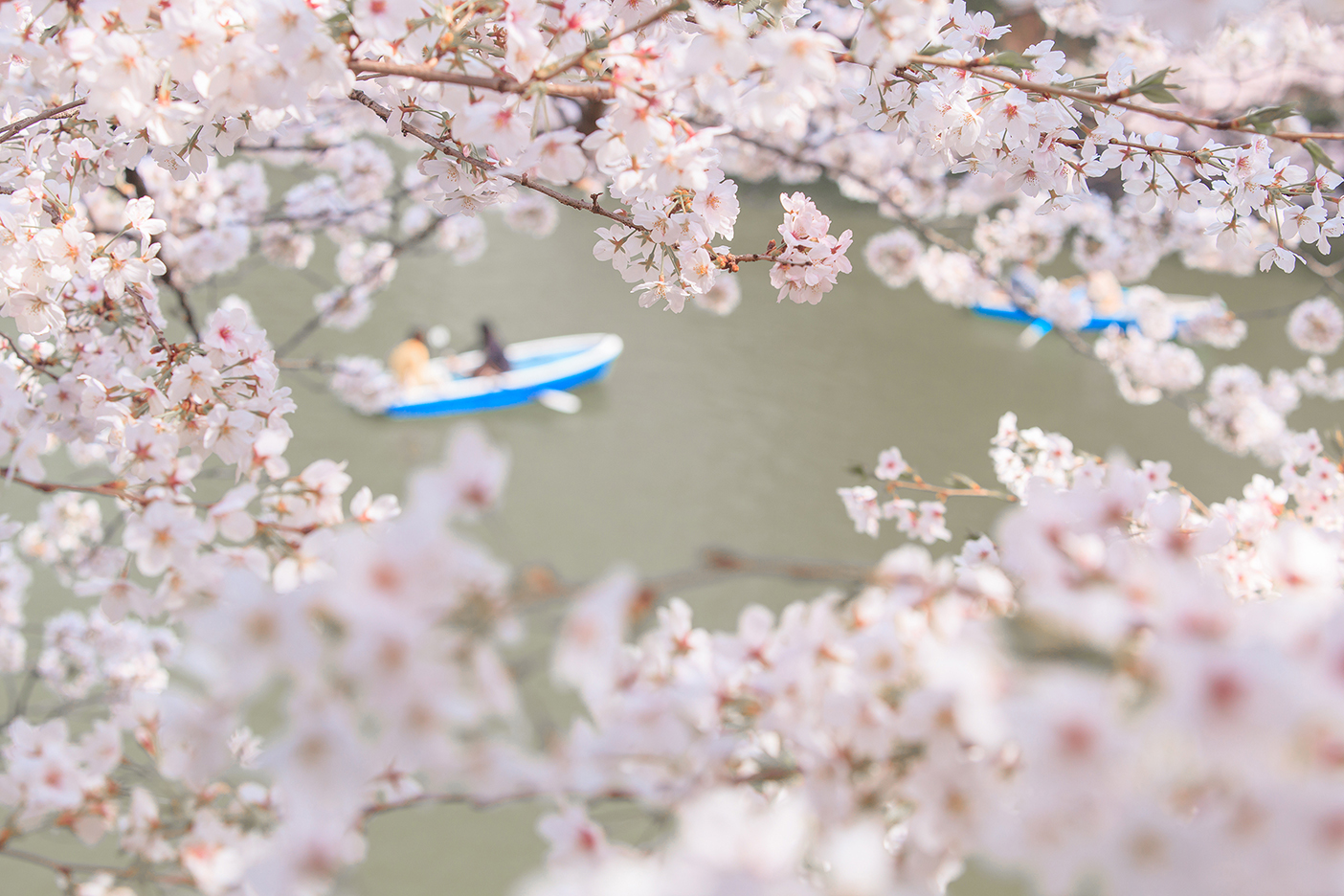 バツイチは学び　