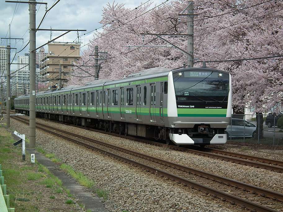 ゴールデンウイークは婚活始動の絶好機会！！